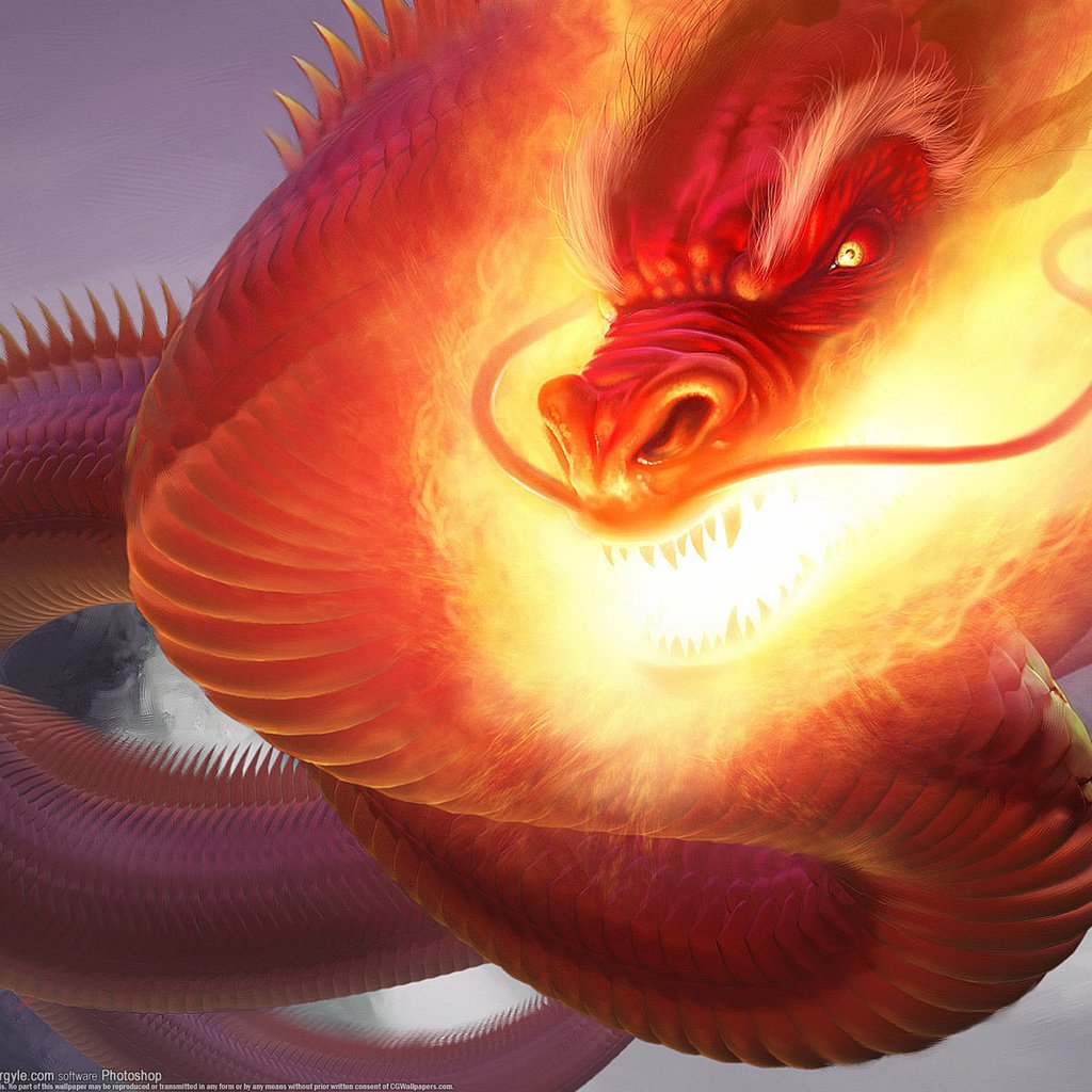 Обои дракон, огонь, змей, fire dragon, steve argyle, cg wallpapers, dragon, fire, snakes разрешение 1920x1200 Загрузить