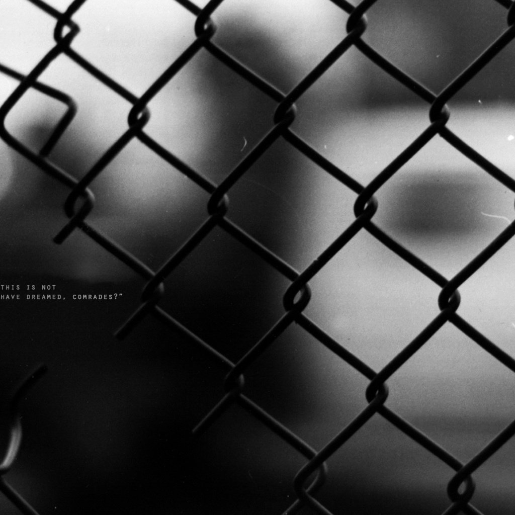 Обои проволока, слова, забор, чёрно-белое, выражение, wire, words, the fence, black and white, the expression разрешение 1920x1080 Загрузить