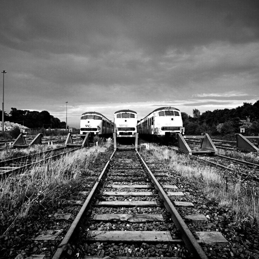 Train white