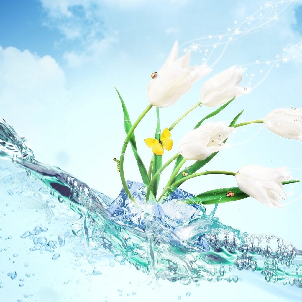 Обои цветы, вода, бабочка, лёд, flowers, water, butterfly, ice разрешение 1920x1200 Загрузить