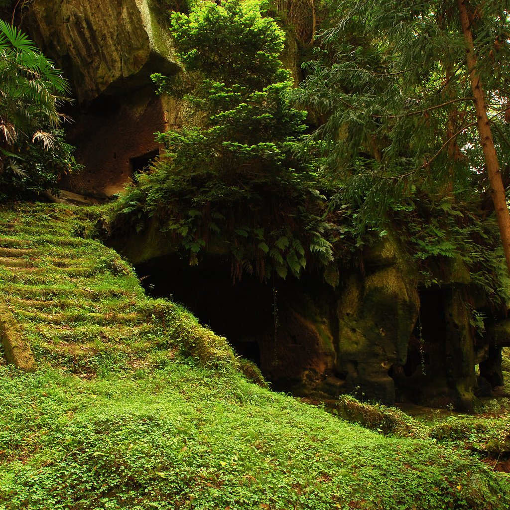 Обои деревья, лес, храм, лестница, ступеньки, руины, мох, trees, forest, temple, ladder, steps, ruins, moss разрешение 2560x1600 Загрузить