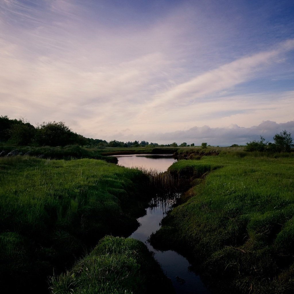 Обои трава, облака, ручей, grass, clouds, stream разрешение 1920x1200 Загрузить