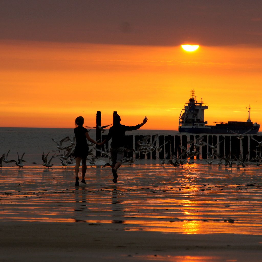 Обои волны, закат, пляж, wave, sunset, beach разрешение 4246x2538 Загрузить