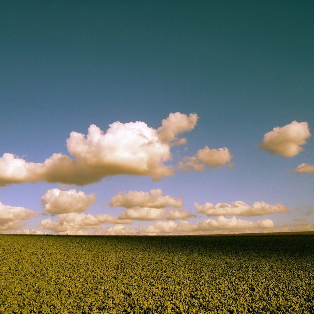 Обои облака, поле, цвет, clouds, field, color разрешение 1920x1440 Загрузить