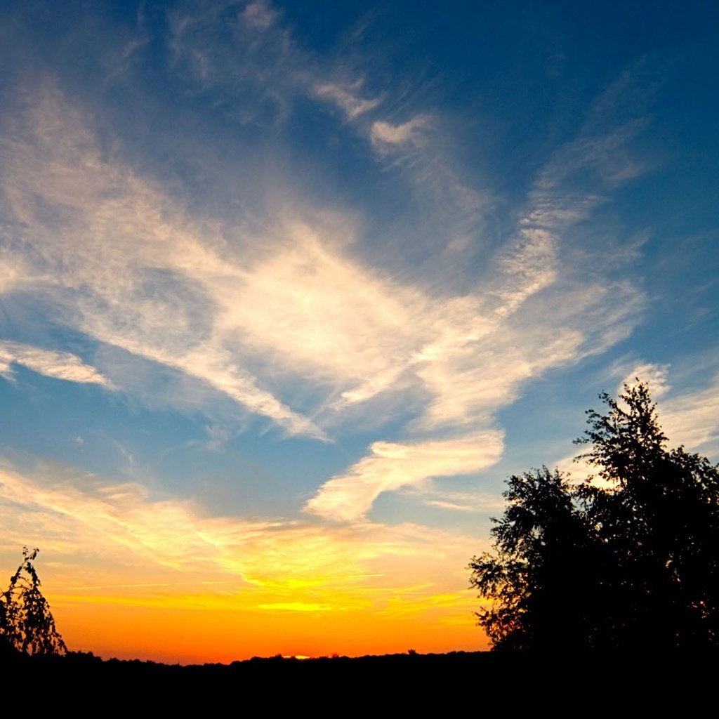 Обои небо, облака, деревья, закат, the sky, clouds, trees, sunset разрешение 1920x1080 Загрузить