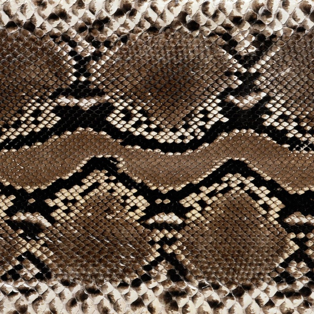 Обои кожа, змеи, расцветка, етекстура, змеиная кожа, leather, snakes, colors, texture, snakeskin разрешение 2560x1600 Загрузить