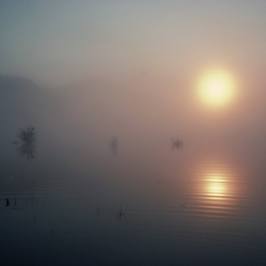 Обои озеро, солнце, туман, lake, the sun, fog разрешение 1920x1440 Загрузить