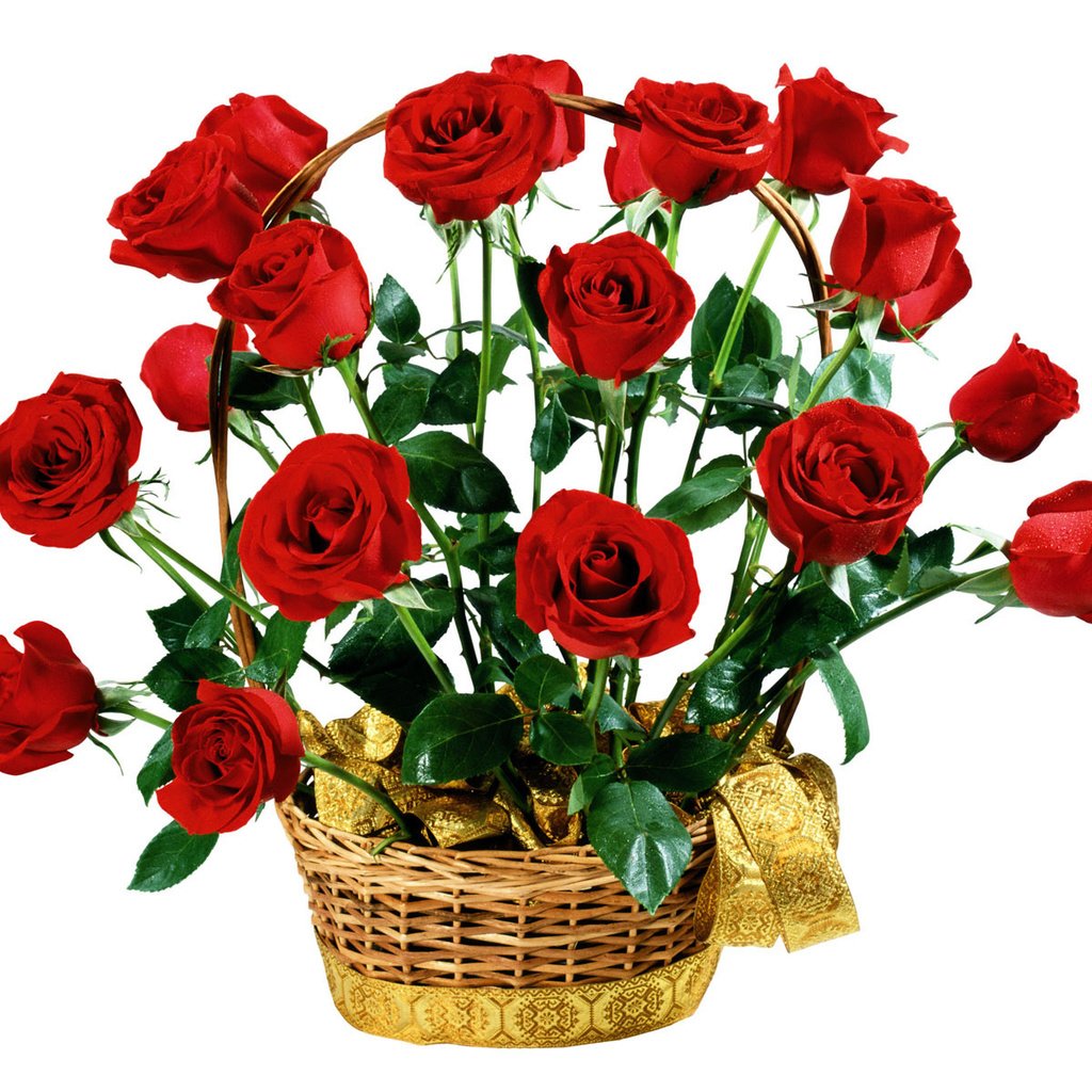 Обои цветы, розы, красные, букет, белый фон, подарок, flowers, roses, red, bouquet, white background, gift разрешение 1920x1200 Загрузить