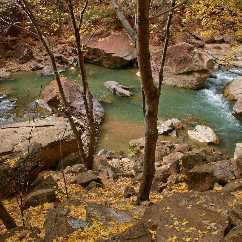 Обои река, природа, камни, лес, пейзаж, листва, осень, river, nature, stones, forest, landscape, foliage, autumn разрешение 1920x1080 Загрузить