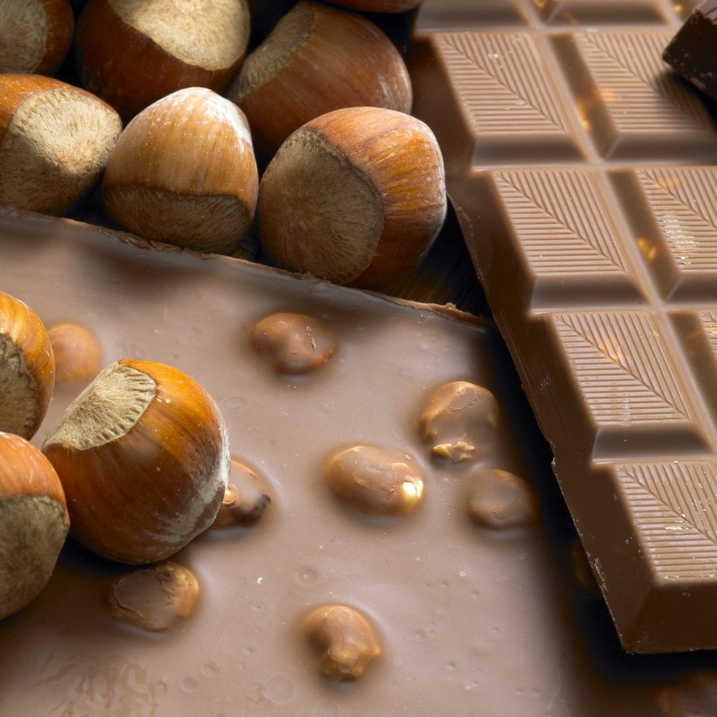 Обои сладости, настроения, шоколад, орешки, sweets, mood, chocolate, nuts разрешение 1920x1200 Загрузить
