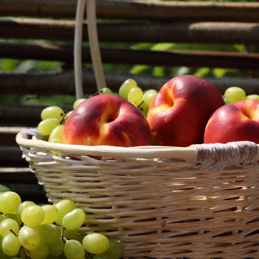 Обои виноград, фрукты, забор, корзина, нектарин, grapes, fruit, the fence, basket, nectarine разрешение 2560x1600 Загрузить