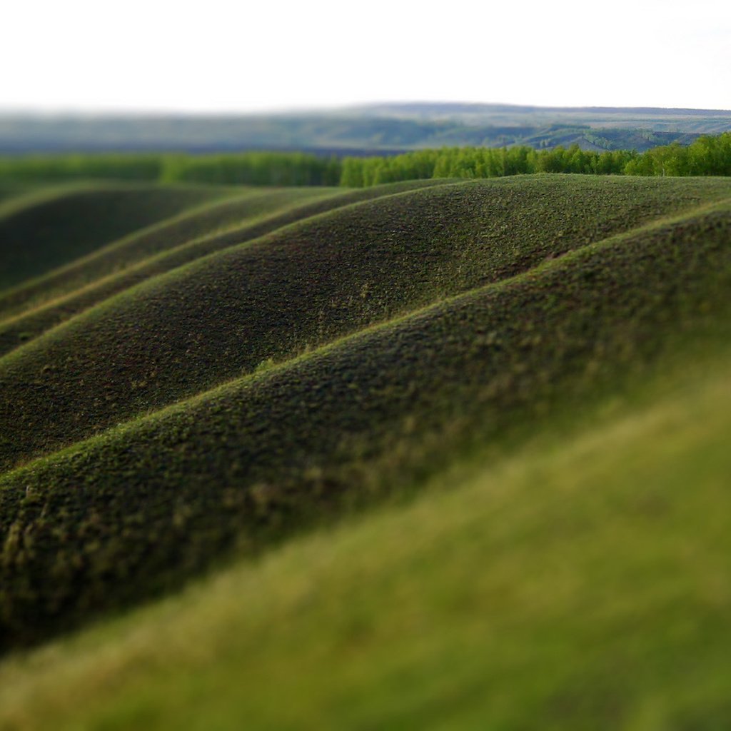 Обои трава, природа, зелень, поле, размытость, холм, grass, nature, greens, field, blur, hill разрешение 1920x1080 Загрузить