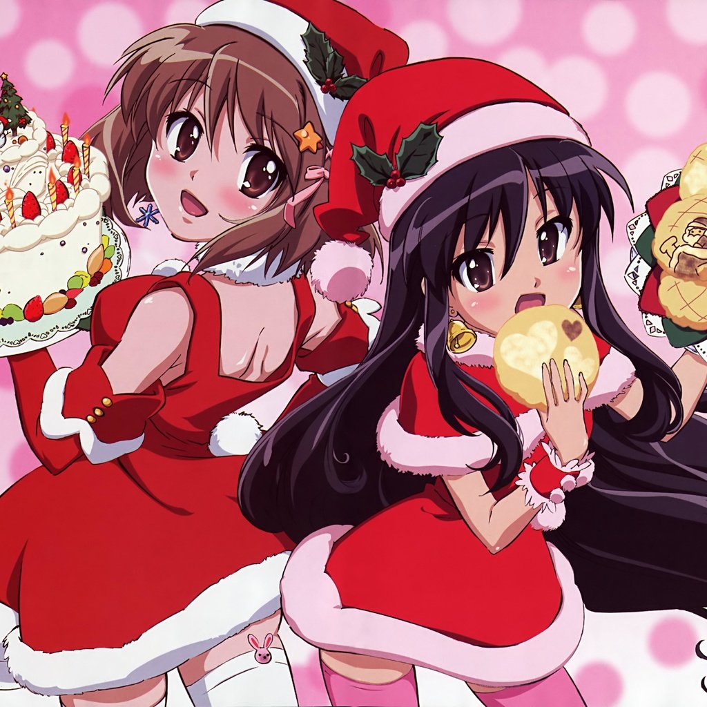 Обои shakugan no shana, shana, thighhighs, scan, 2girls, santa costume, santa hat, yoshida kazumi, румяна, елочная, blush, christmas разрешение 5165x3533 Загрузить