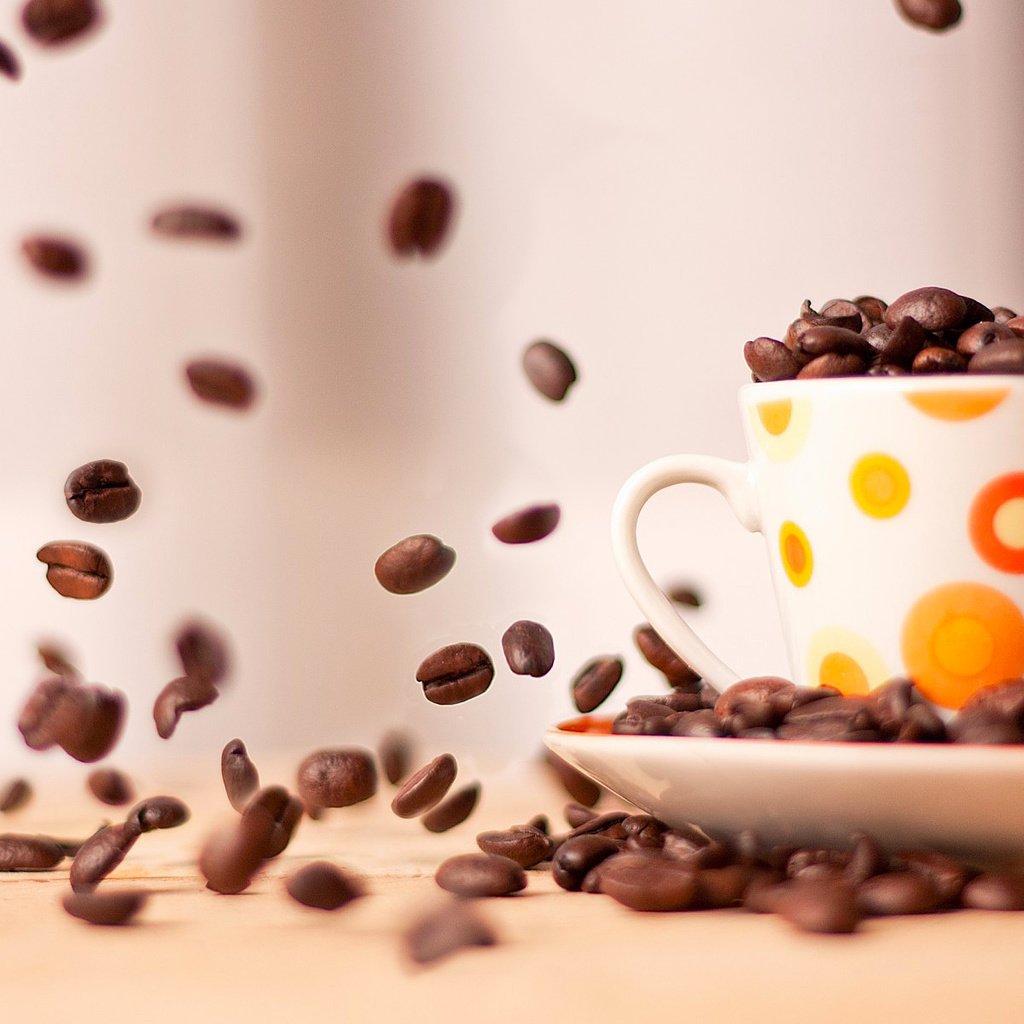 Обои зерна, кофе, кружка, блюдце, чашка, кофейные зерна, grain, coffee, mug, saucer, cup, coffee beans разрешение 1920x1200 Загрузить