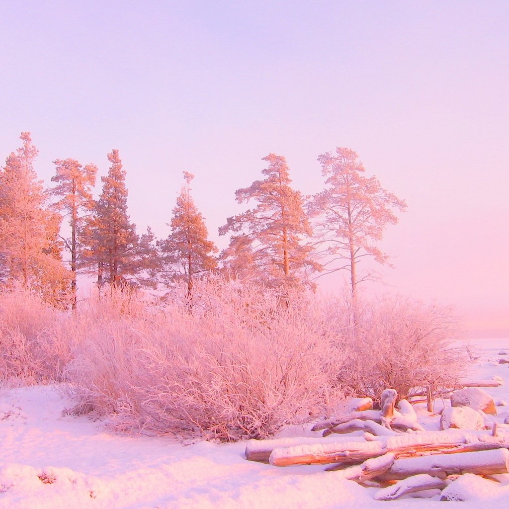 пожелание с добрым утром зима картинки