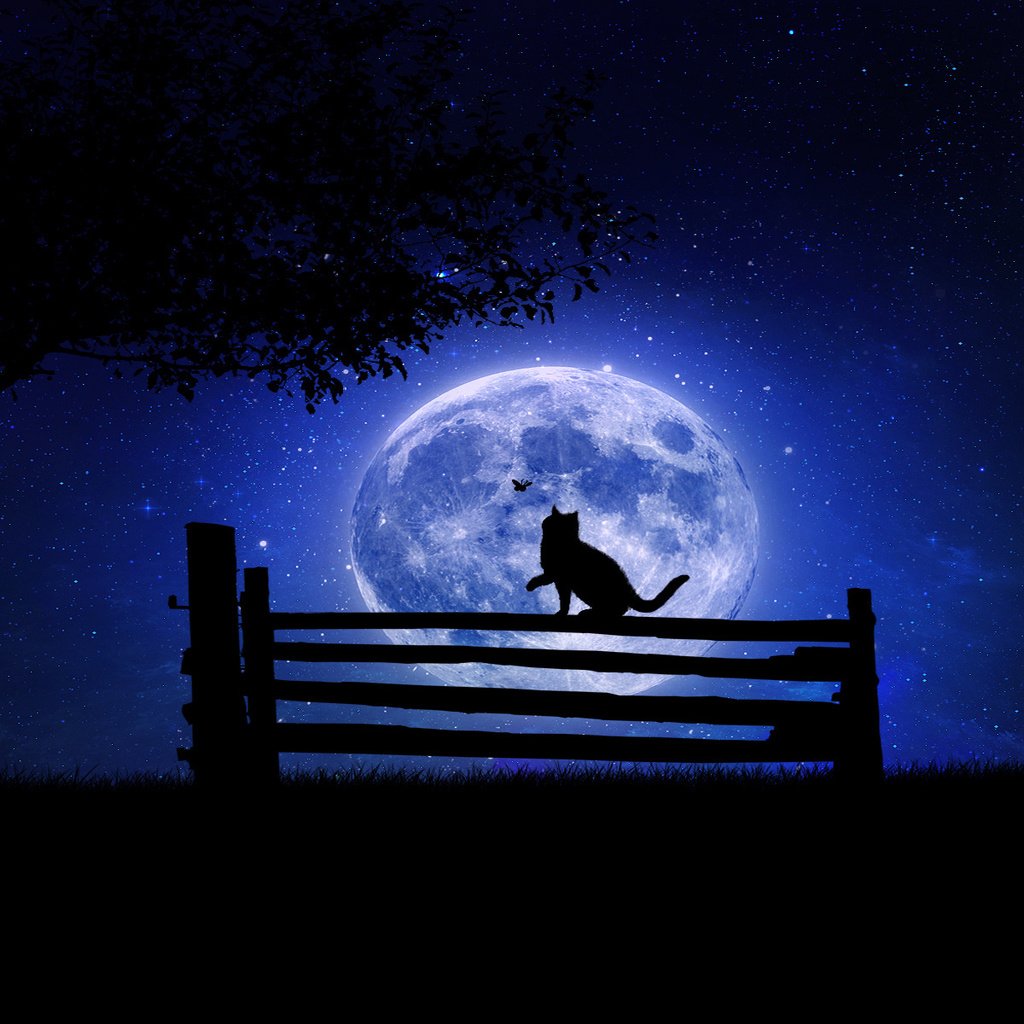 спокойной ночи картинки красивые луна