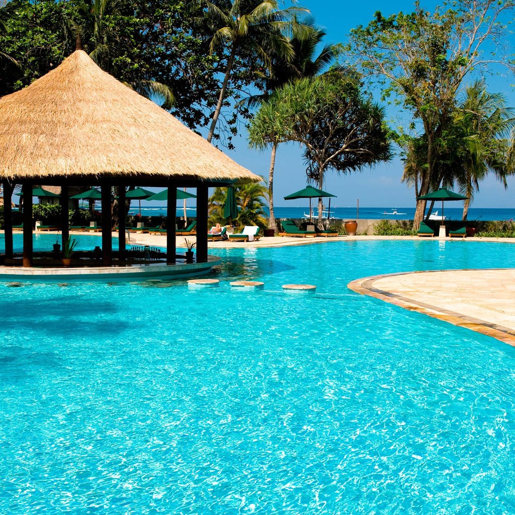 Обои пальмы, бассейн, отдых, тропики, palm trees, pool, stay, tropics разрешение 2560x1600 Загрузить