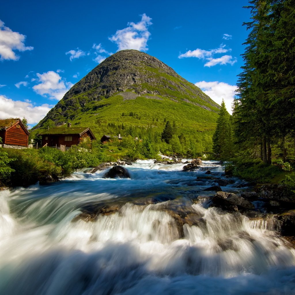 Обои деревья, река, лес, пейзаж, гора, поток, норвегия, trees, river, forest, landscape, mountain, stream, norway разрешение 2560x1600 Загрузить