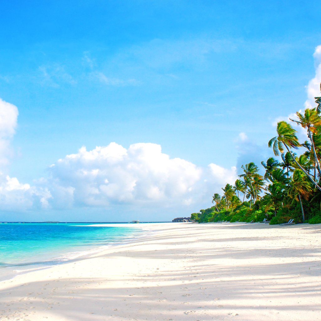 Обои море, пляж, тропики, мальдивы, sea, beach, tropics, the maldives разрешение 4505x2940 Загрузить
