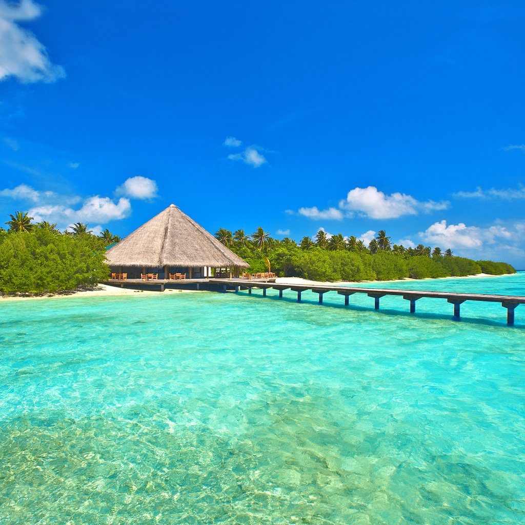 Обои море, пляж, остров, тропики, мальдивы, sea, beach, island, tropics, the maldives разрешение 2023x1365 Загрузить