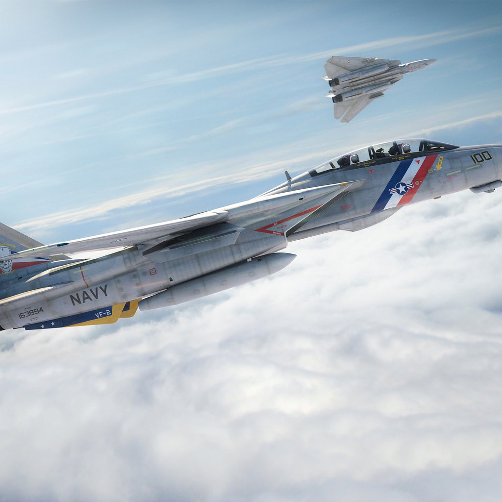 Обои небо, самолет, истребитель, f-14, котяра, the sky, the plane, fighter, tomcat разрешение 2560x1600 Загрузить