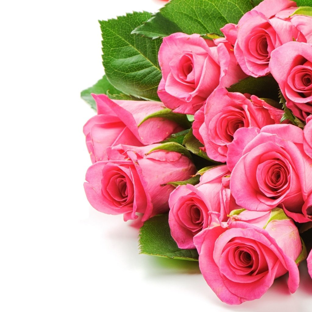 Обои цветы, розы, букет, розовый, flowers, roses, bouquet, pink разрешение 2560x1600 Загрузить