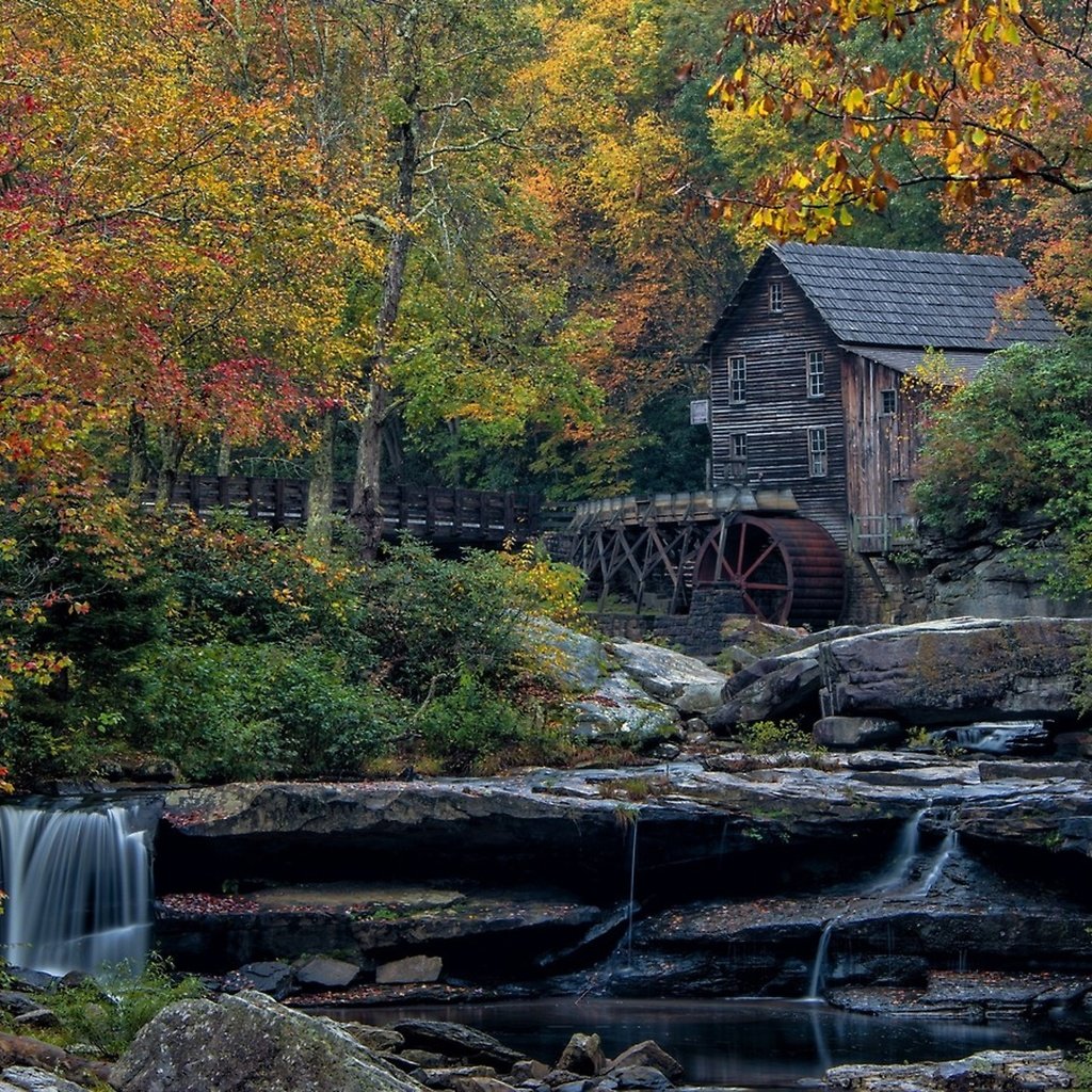 Обои мельница в осеннем лесу, mill in autumn forest разрешение 2560x1440 Загрузить