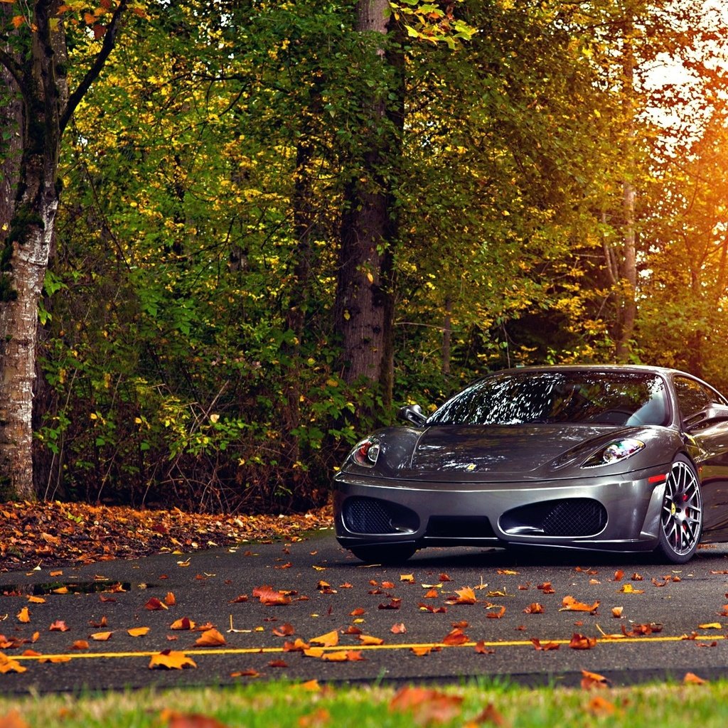 Обои парк, осень, феррари, 430, scuderia, park, autumn, ferrari разрешение 1920x1200 Загрузить