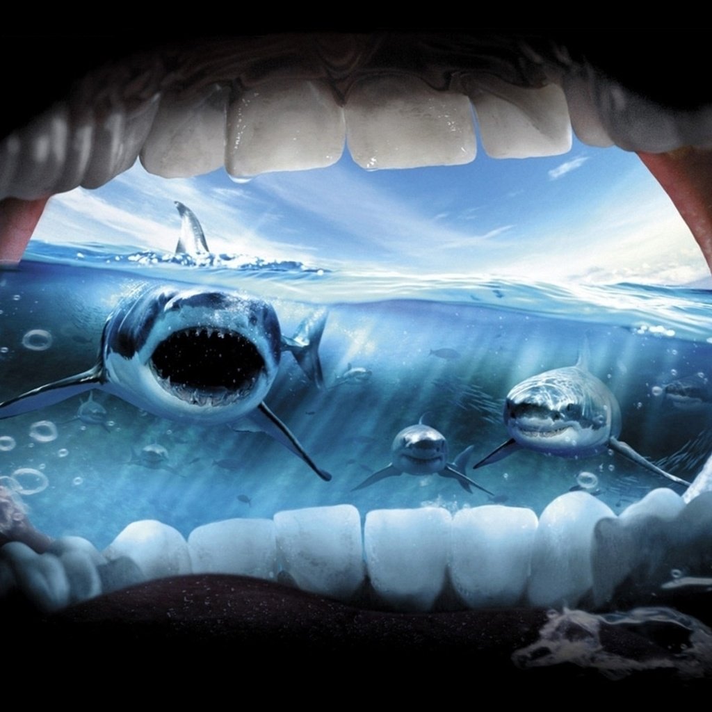 Обои океан, ужас, крик, акулы, the ocean, horror, creek, sharks разрешение 2033x1271 Загрузить