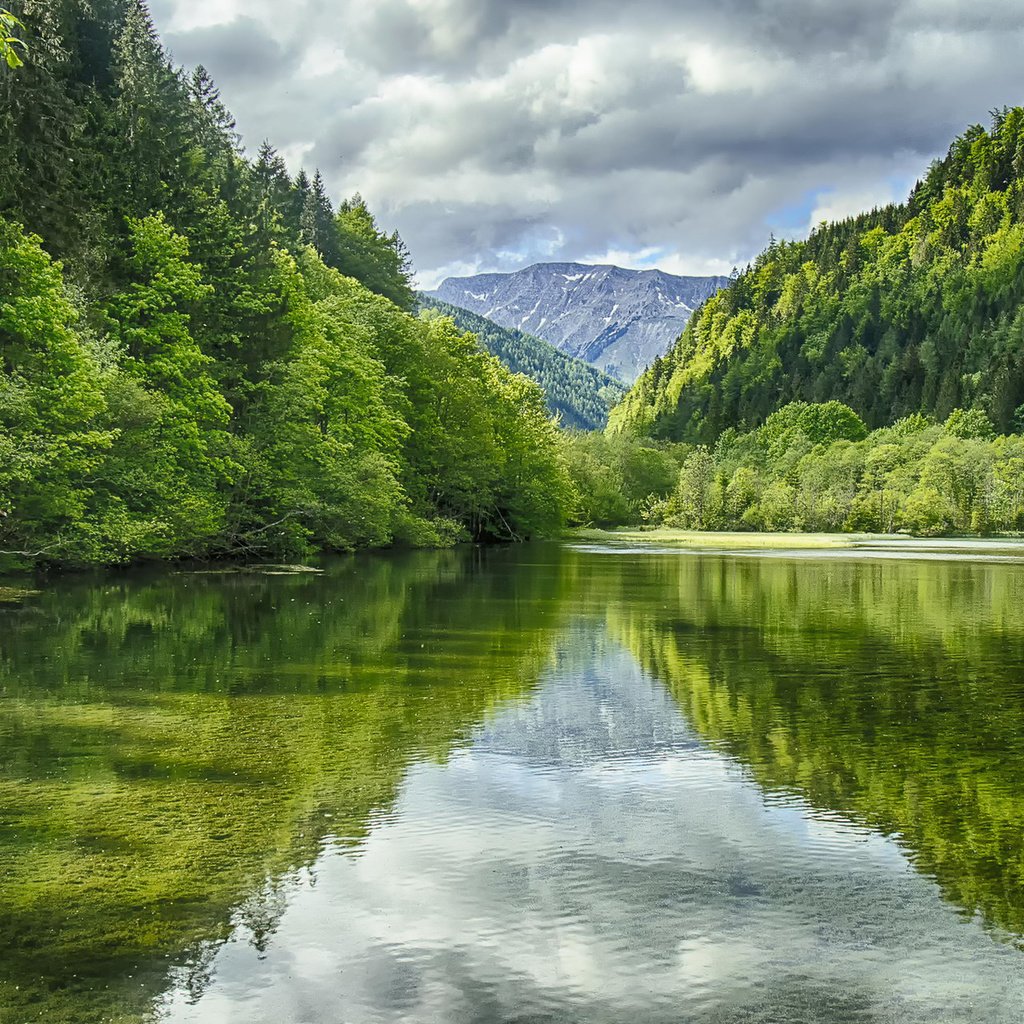 Обои деревья, вода, озеро, горы, природа, пейзаж, австрия, green lake, trees, water, lake, mountains, nature, landscape, austria разрешение 1920x1200 Загрузить