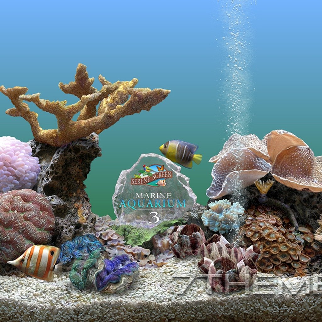 Обои fishy aquarium 3d разрешение 1946x1094 Загрузить