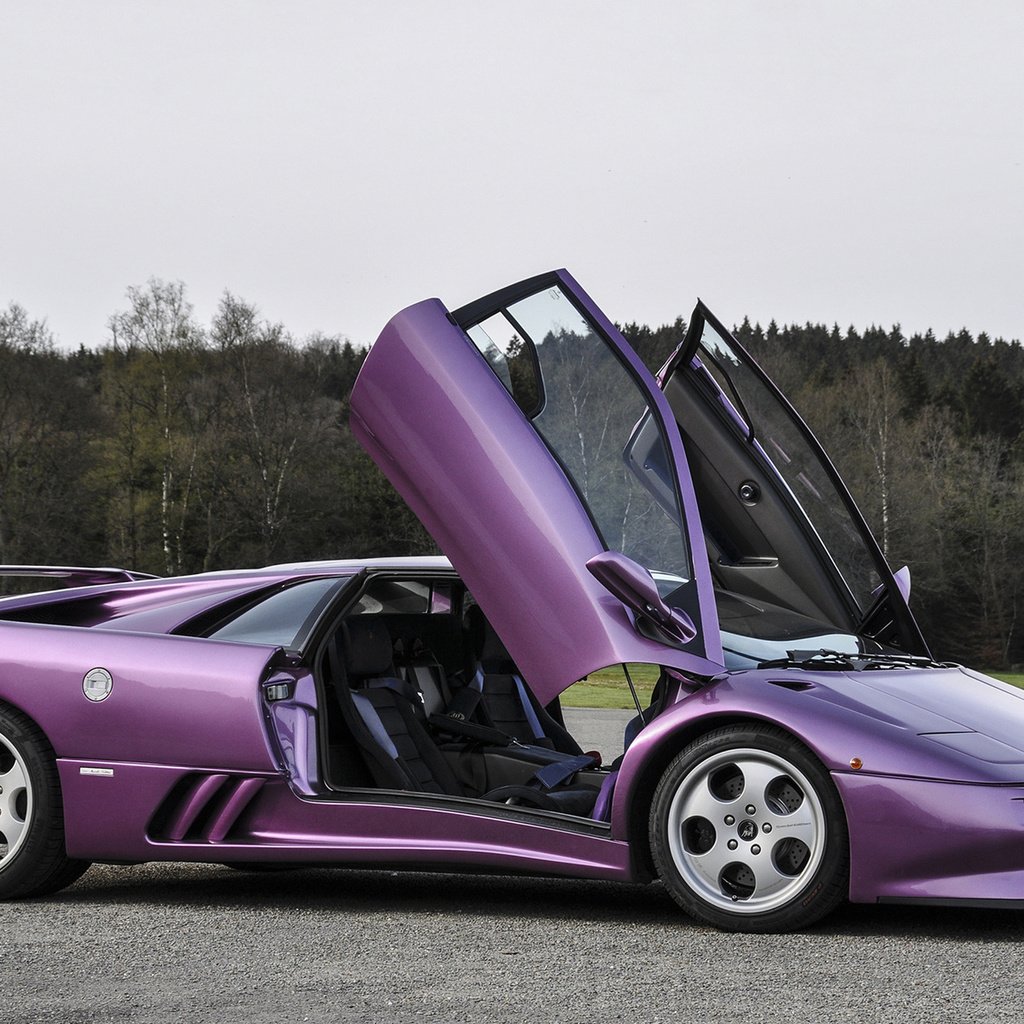 Обои ламборгини, диабло, se30,     дерево, лиловая, lamborghini, diablo, tree, purple разрешение 1920x1200 Загрузить