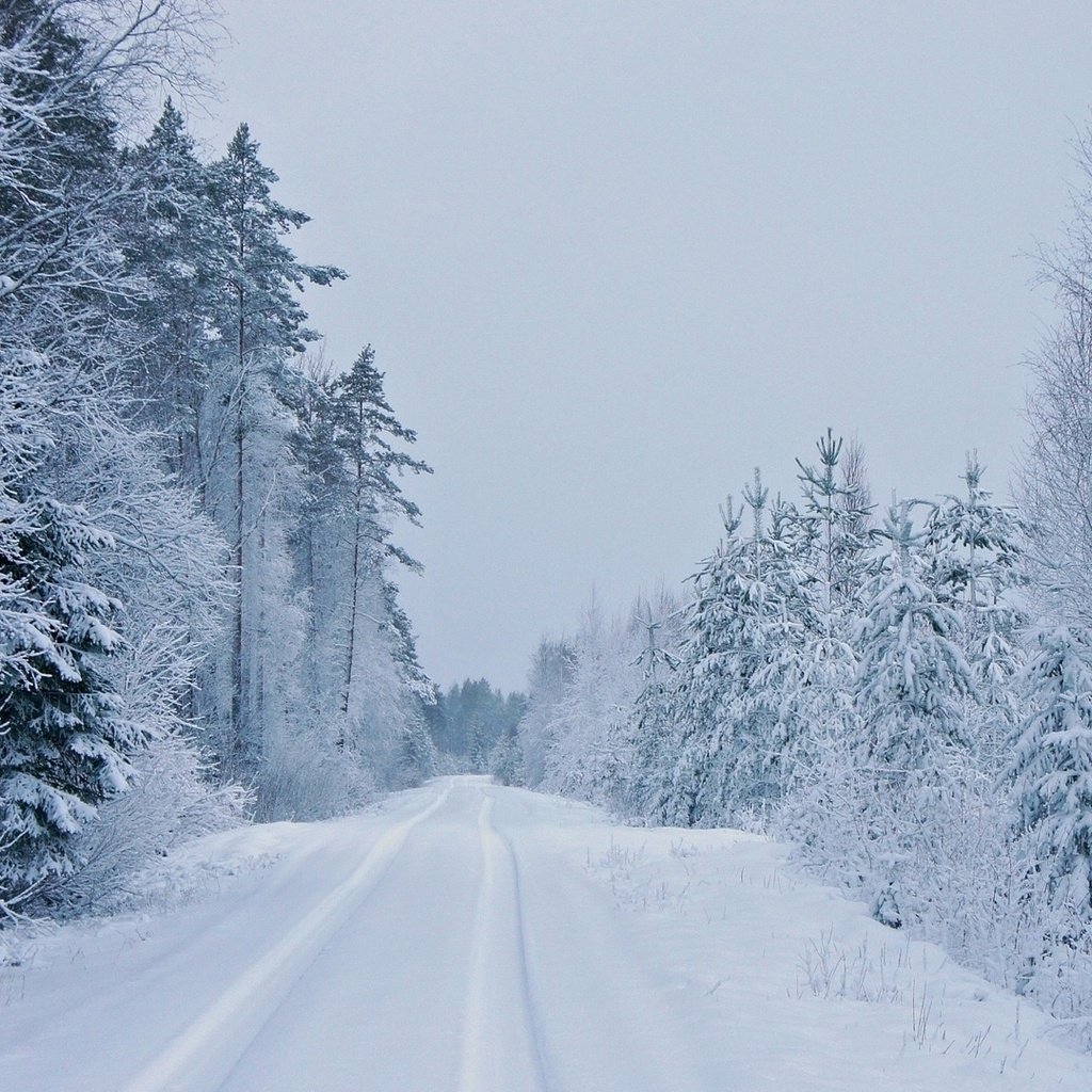 Обои дорога, деревья, зима, road, trees, winter разрешение 1920x1080 Загрузить