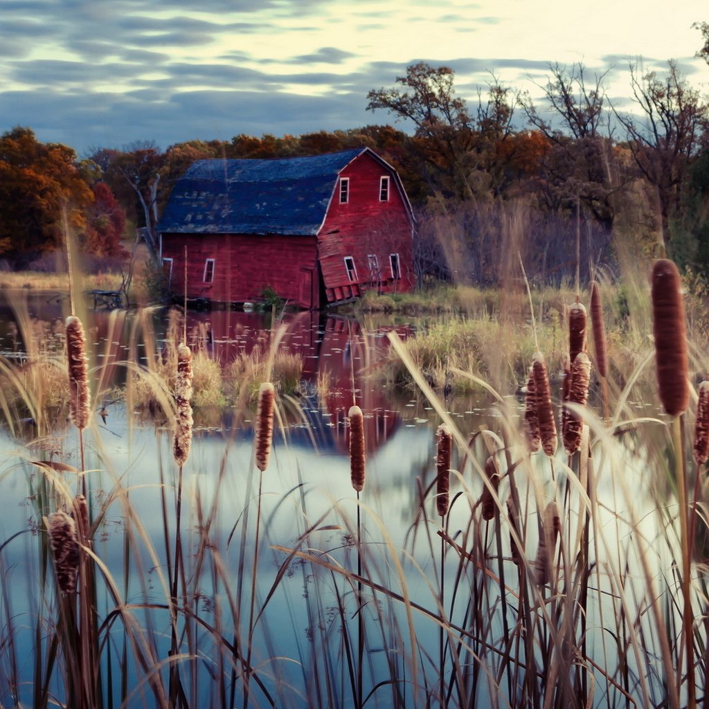 Обои деревья, озеро, осень, дом, камыш, trees, lake, autumn, house, reed разрешение 1920x1200 Загрузить