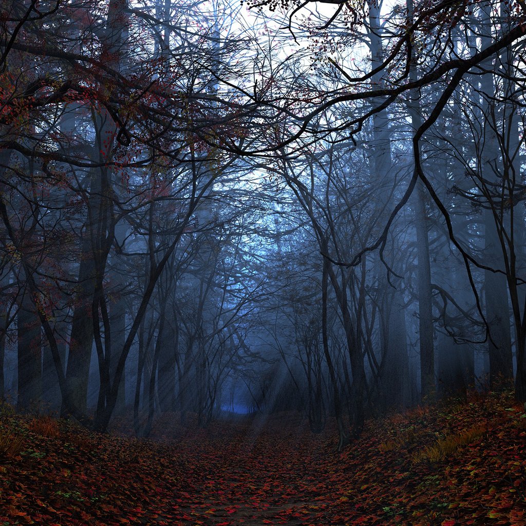 Обои свет, деревья, лес, листья, лучи, осень, light, trees, forest, leaves, rays, autumn разрешение 1920x1200 Загрузить