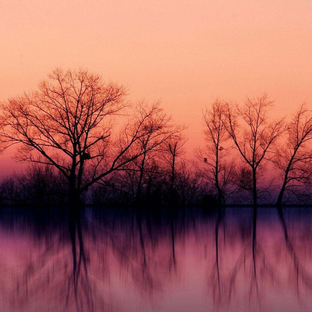 Обои небо, деревья, вода, озеро, закат, отражение, осень, the sky, trees, water, lake, sunset, reflection, autumn разрешение 1920x1200 Загрузить