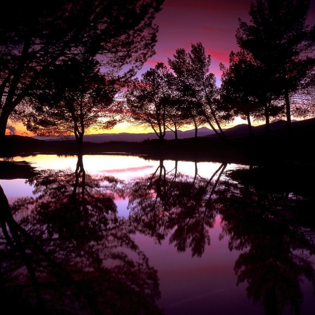 Обои деревья, вода, вечер, озеро, закат, отражение, силуэты, trees, water, the evening, lake, sunset, reflection, silhouettes разрешение 1920x1200 Загрузить