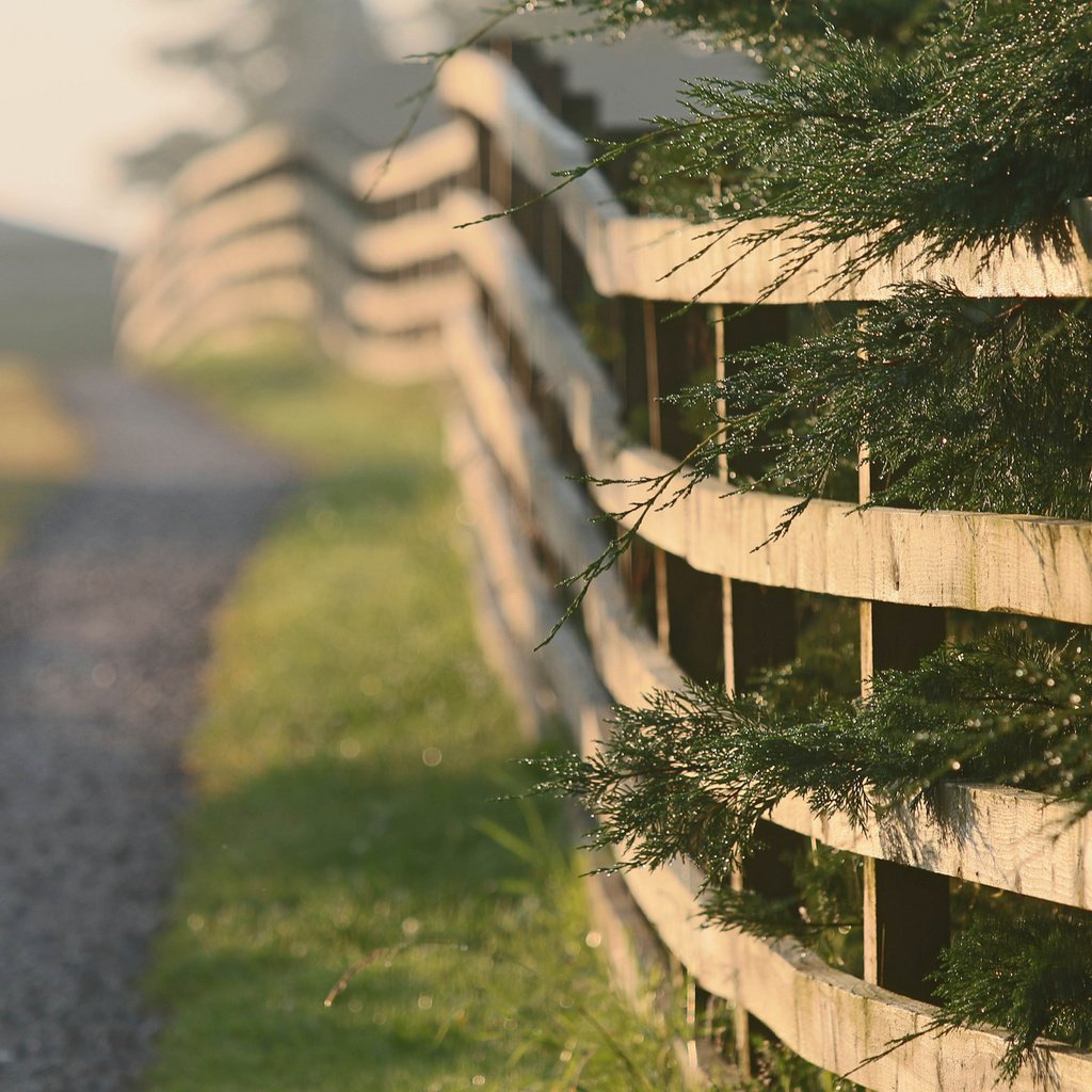 Обои дорога, природа, утро, забор, road, nature, morning, the fence разрешение 2048x1365 Загрузить