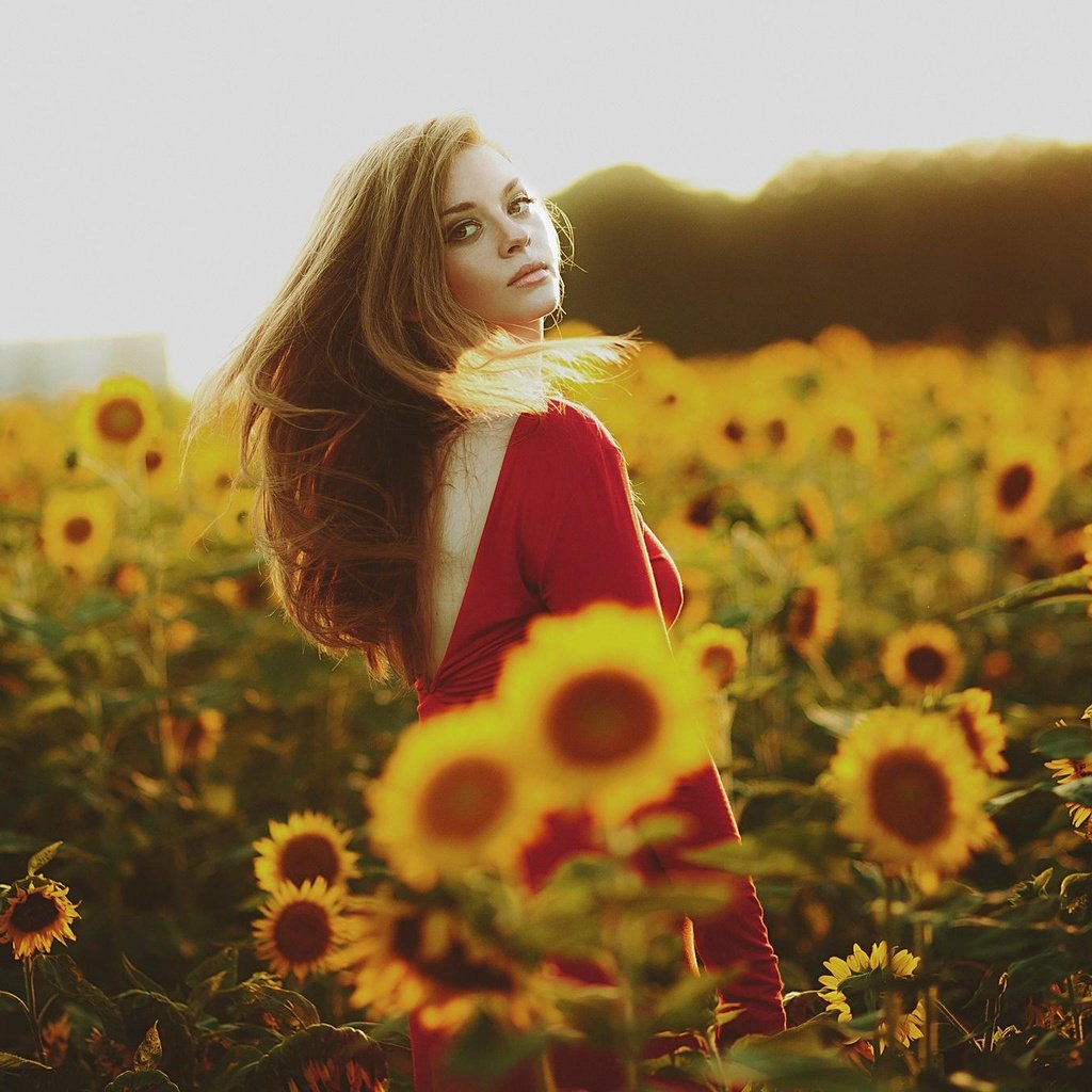 Обои девушка, лето, взгляд, подсолнухи, красное платье, girl, summer, look, sunflowers, red dress разрешение 2048x1365 Загрузить