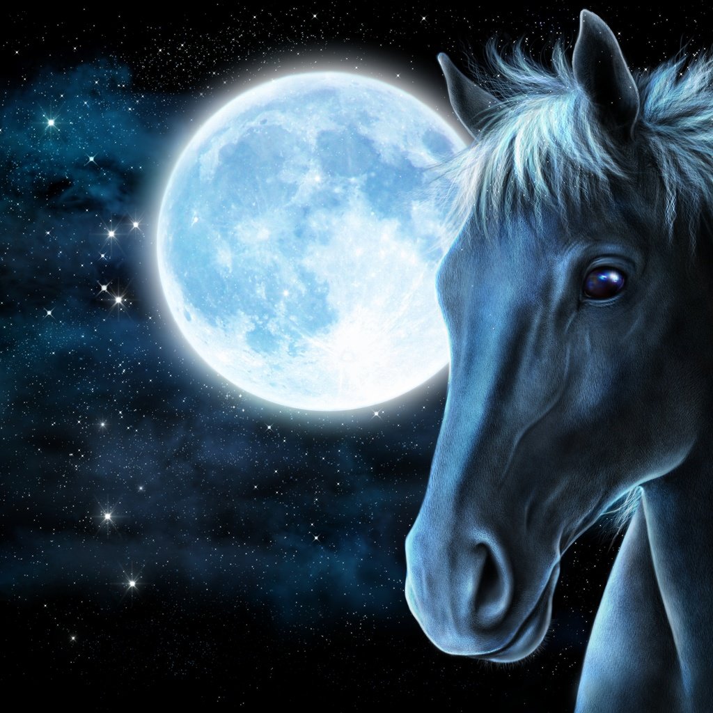 Лошадь ночью арт