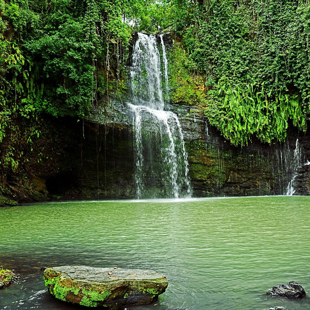 Обои деревья, скалы, пейзаж, водопад, водоем, trees, rocks, landscape, waterfall, pond разрешение 2880x1920 Загрузить