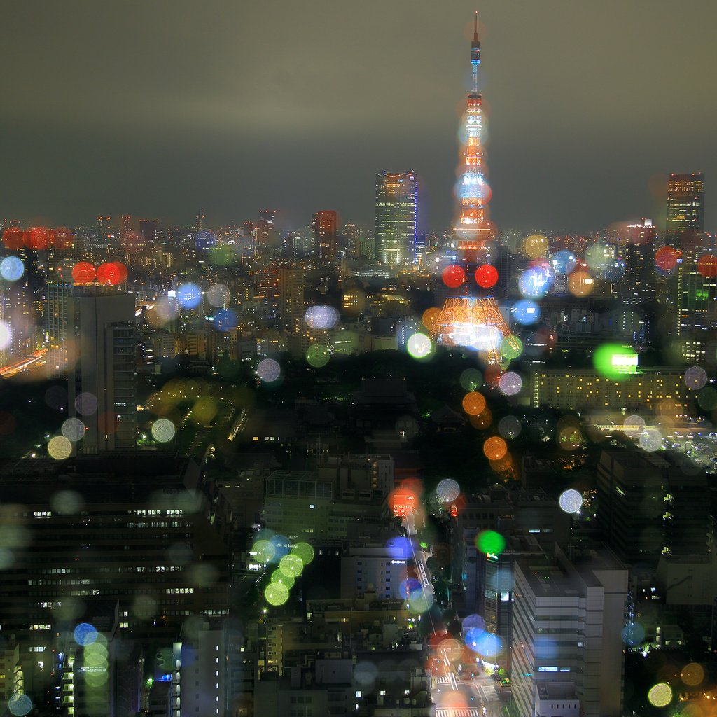 Обои ночь, огни, город, япония, токио, night, lights, the city, japan, tokyo разрешение 2880x1800 Загрузить