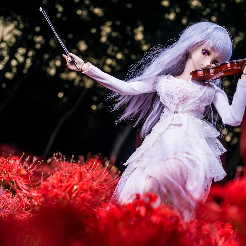 Обои цветы, девушка, скрипка, кукла, волосы, flowers, girl, violin, doll, hair разрешение 3600x2400 Загрузить