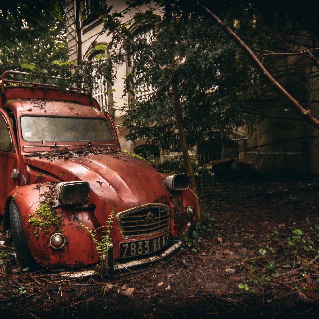 Обои заброшенная, ситроен, decaying, ржавая, abandoned, citroen, rusty разрешение 2560x1511 Загрузить