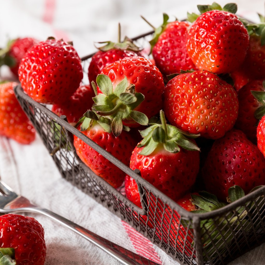 Обои красная, клубника, ягоды, корзинка, red, strawberry, berries, basket разрешение 2048x1365 Загрузить