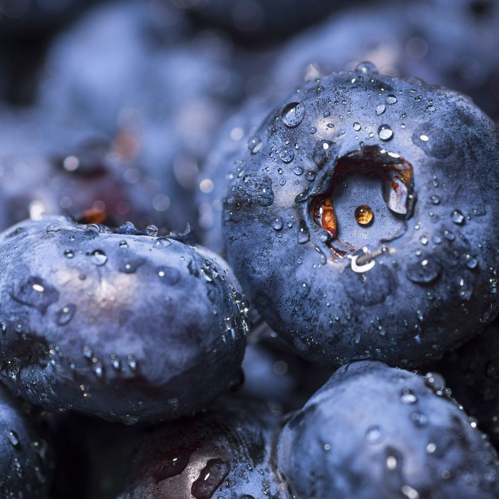 Обои макро, ягоды, черника, macro, berries, blueberries разрешение 2048x1365 Загрузить