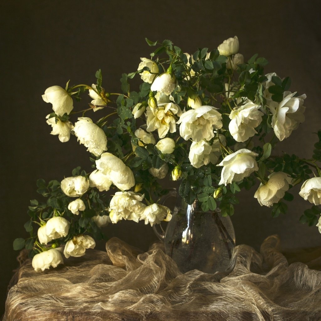 Обои стиль, розы, букет, вуаль, style, roses, bouquet, veil разрешение 1920x1187 Загрузить