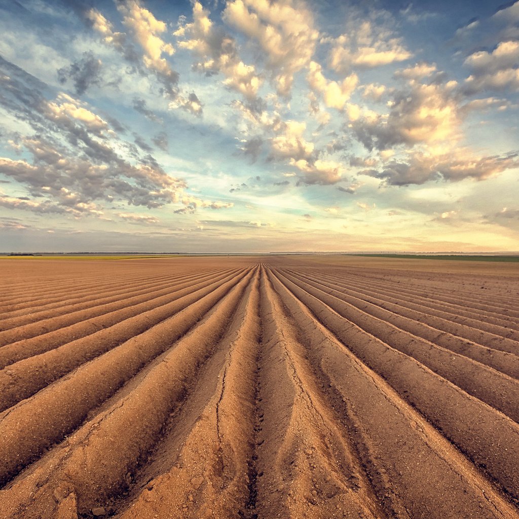 Обои небо, облака, земля, природа, поле, горизонт, пашня, пахота, the sky, clouds, earth, nature, field, horizon, arable land, plowing разрешение 2048x1365 Загрузить