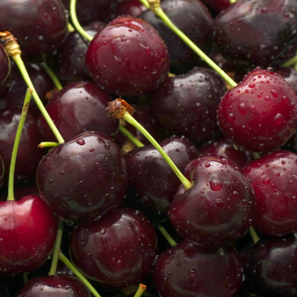 Обои макро, черешня, ягоды, вишня, macro, cherry, berries разрешение 3300x2085 Загрузить