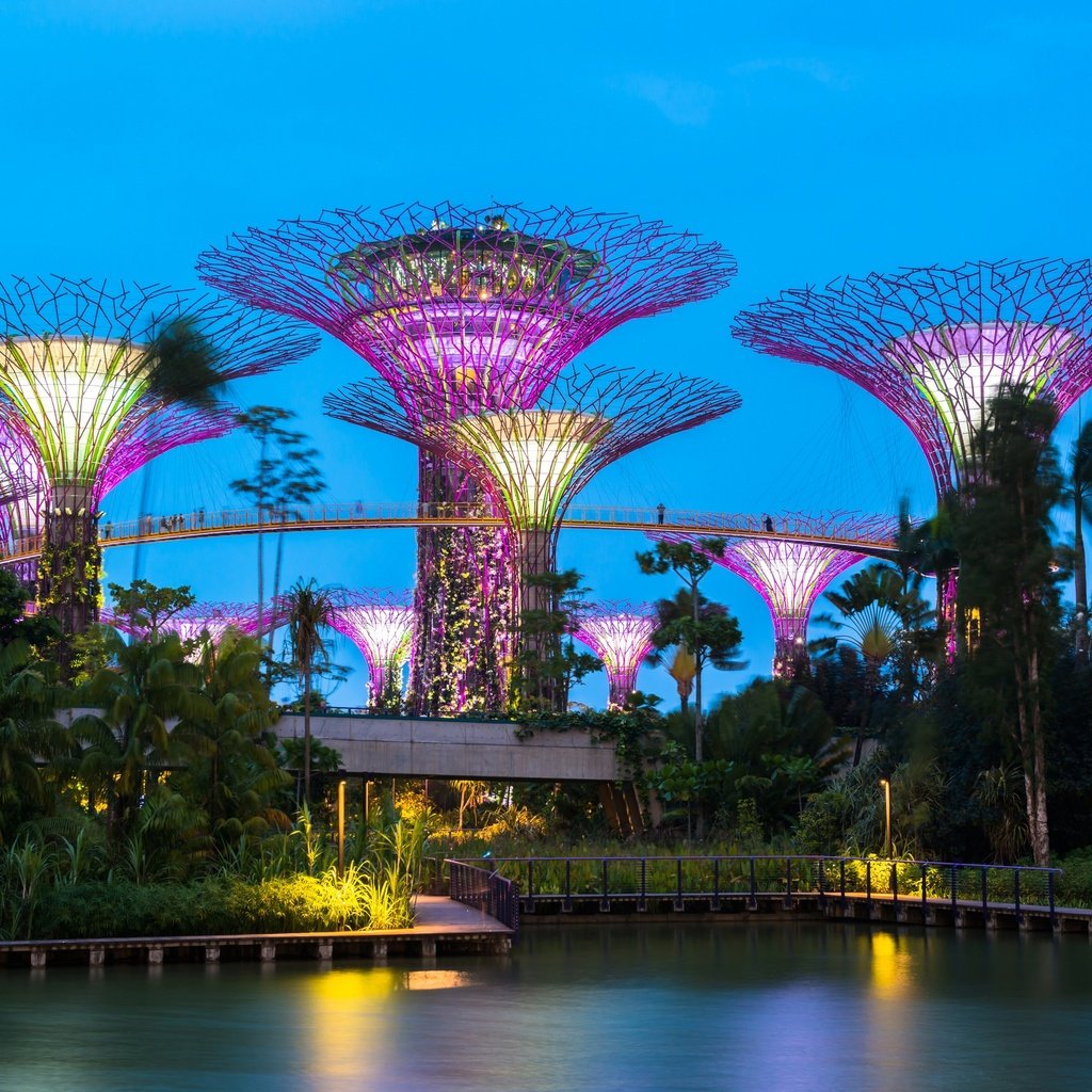 Обои сингапур, деревья, gardens by the bay, вечер, дизайн, парк, иллюминация, пальмы, пруд, строение, singapore, trees, the evening, design, park, illumination, palm trees, pond, structure разрешение 2880x1920 Загрузить